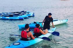 Excursión Laguna Grande Bio Bay Kayak desde San Juan