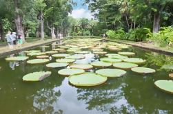 Mauritius Private North Day Tour: Jardin botanique - Musée du sucre - Dégustation de rhum - Port Louis