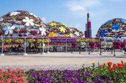 Miracle Garden con traslados desde Abu Dhabi