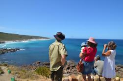 Río de Margaret y Vida Silvestre Eco Viaje desde Busselton o Dunsborough