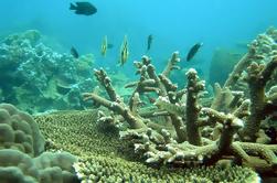 Southern Phu Quoc Island snorkelen en vissen Day Trip