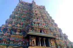 Tour Privado: 5-Noche del Sur de la India Visita de los Templos Patrimonio de la UNESCO