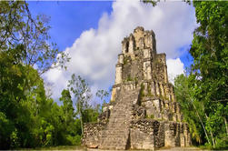 Excursion privée à Muyil Ruins, Tulum et Coba de Cancun