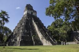 Day Trip a Tikal rovine Maya compreso il pranzo