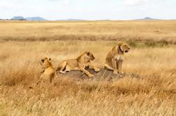 Safari de 2 días desde la ciudad de Arusha, Tanzania