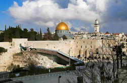 Excursão em grupo de meio dia em Jerusalém