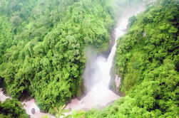 Tour de la selva de Khao Yai durante todo el día desde Bangkok