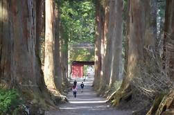 Dia Inteiro Excursão Togakushi Natureza e Ninja