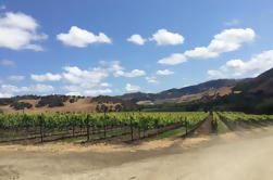 Visite des amateurs de vin de Santa Barbara