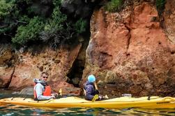 Akaroa Shore Exkursion: Kleine Gruppe Wildlife und Sea-Kayaking Safari in Akaroa