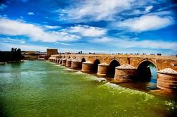 Monumental de Córdoba: Visita guiada de 3 horas