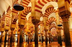 Visita guiada a la ciudad de Córdoba