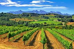 Montserrat und Penedès geführte Tagestour aus Barcelona