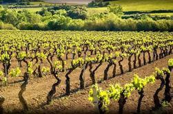 Private Cava Experience Penedes Tour From Barcelona