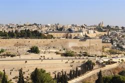 8-Night Israel, Jordan og Egypt Tour fra Tel Aviv